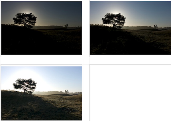 http://dump.redelijkheid.com/GoT/heidestein-hdr-halo.jpg
